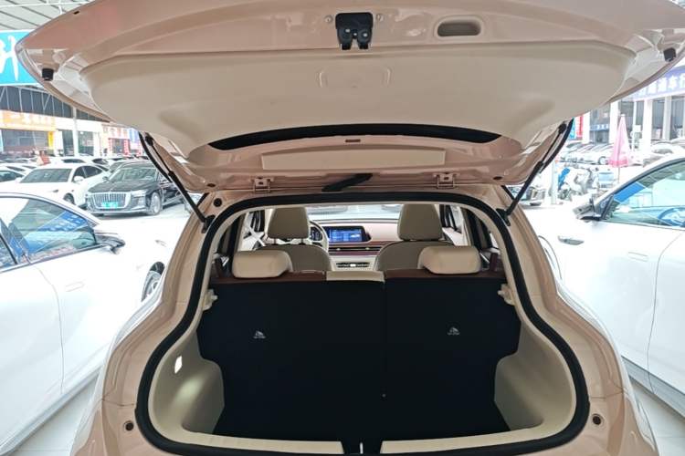 Used ORA Good Cat 2024 401 km Luxury Version Trunk