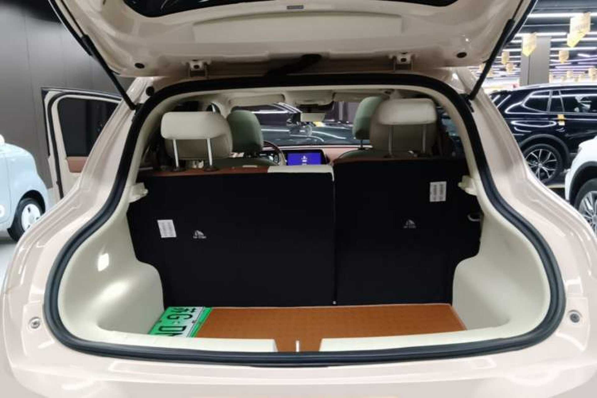 Used ORA Good Cat 2024 401 km Luxury Version Trunk