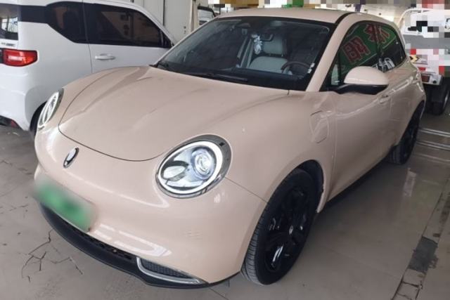 Used ORA Good Cat 2024 401 km Luxury Version