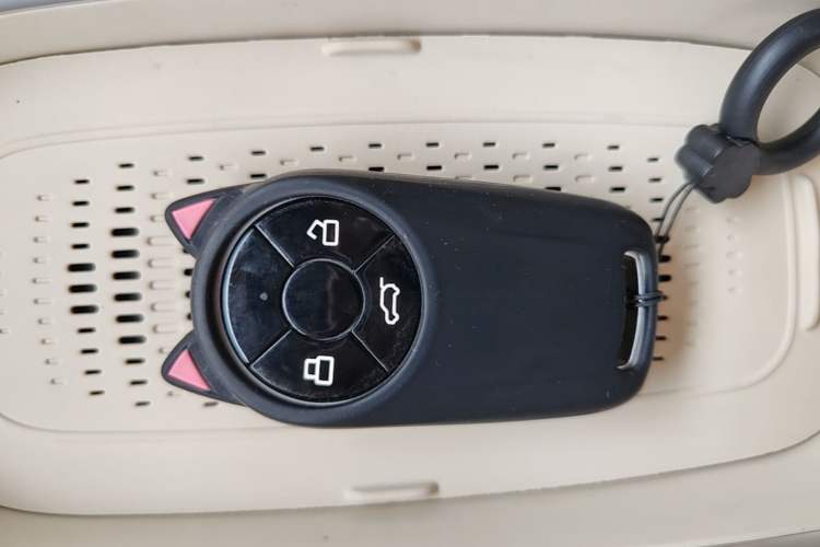 Used ORA Good Cat 2024 401 km Range Luxury Version 135 kW Vehicle Key