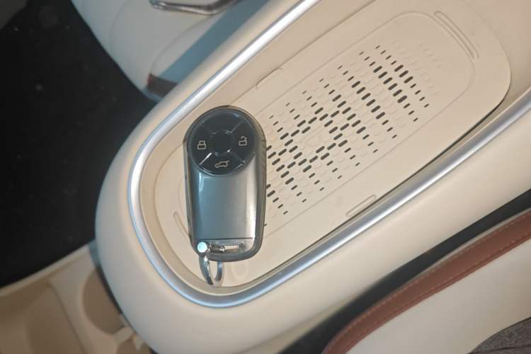 Used ORA Good Cat 2024 501 km Luxury Version Vehicle Key