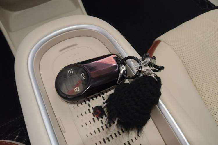 Used ORA Good Cat 2024 401 km Luxury Version 126 kW Vehicle Key