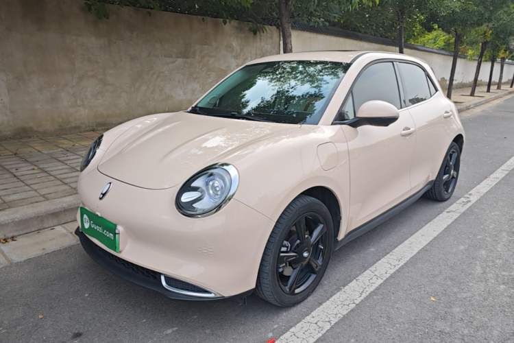 ORA Good Cat 2024 401 km Luxury Version