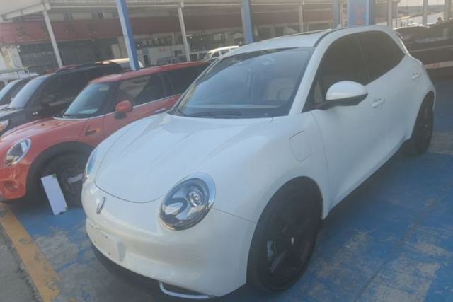 Used ORA Good Cat 2024 401 km Luxury Version