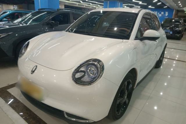 Used ORA Good Cat 2024 401 km Luxury Version