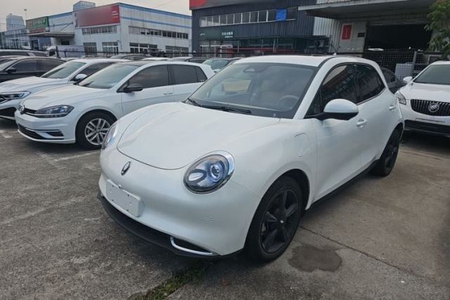 Used ORA Good Cat 2024 401 km Luxury Version