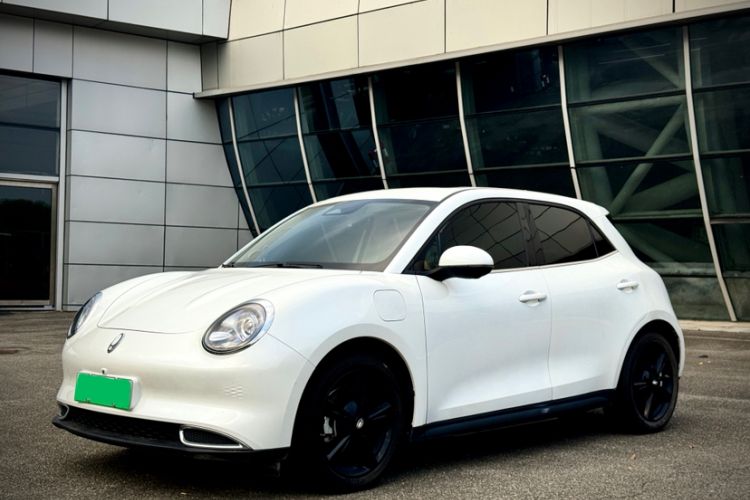 ORA Good Cat 2024 401 km Luxury Version