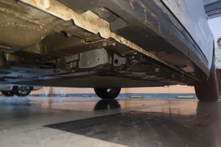 Used ORA Good Cat 2024 401 km Luxury Version Chassis Front Left