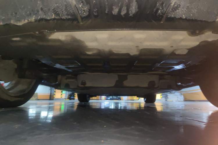 Used ORA Good Cat 2024 401 km Luxury Version Chassis Rear
