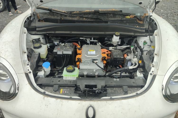 Used ORA Good Cat 2024 401 km Luxury Version Engine Bay