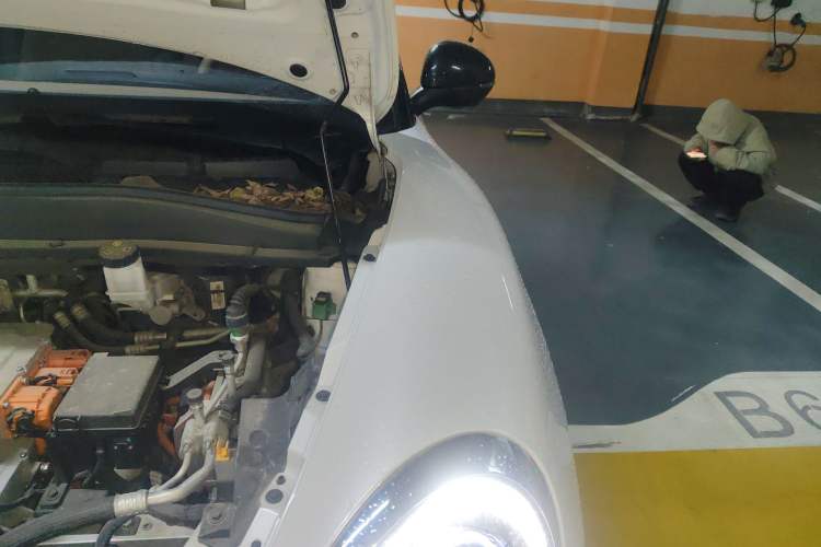 Used ORA Good Cat 2024 401 km Luxury Version Engine Bay Left