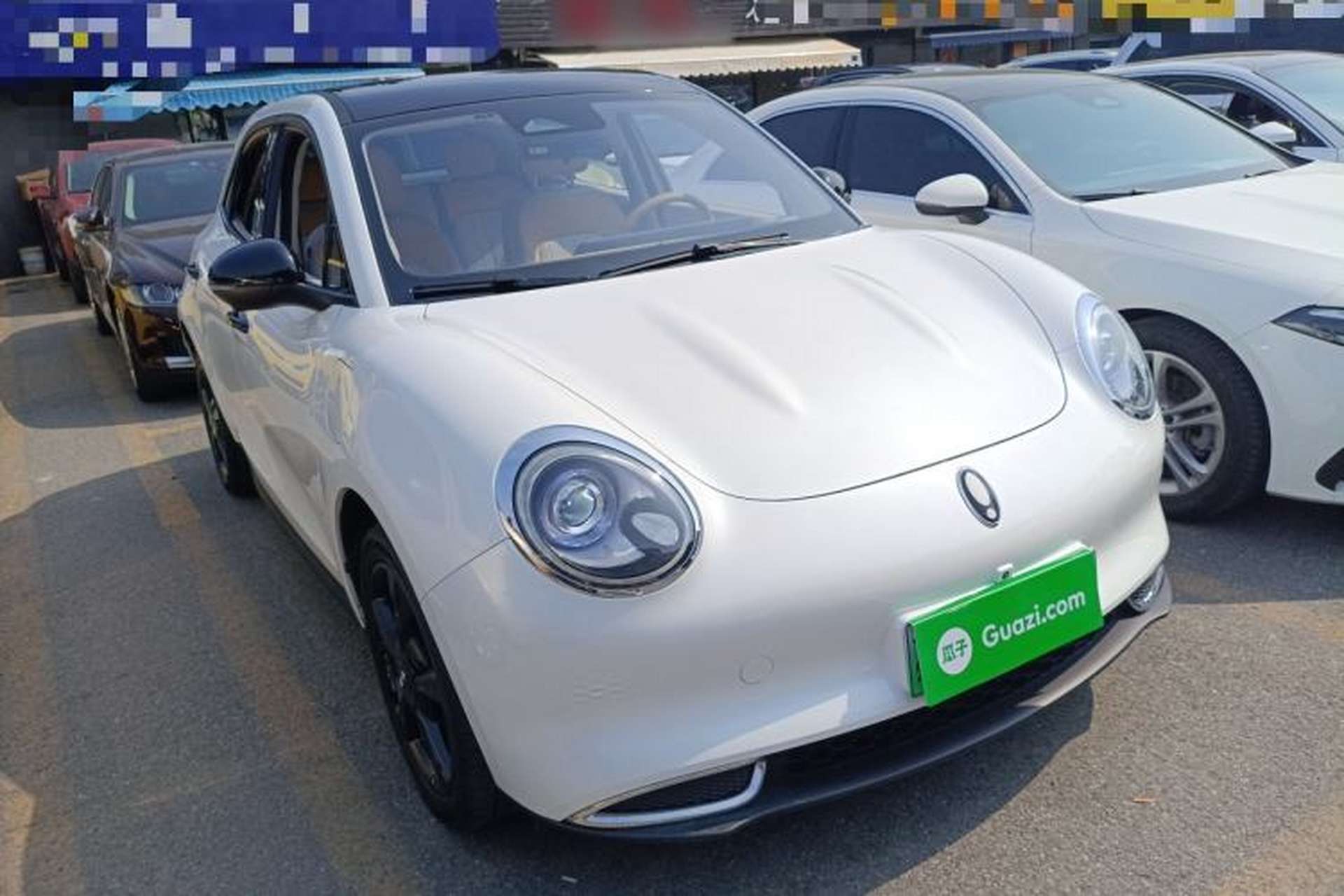 Used ORA Good Cat 2024 401 km Luxury Version Exterior 1