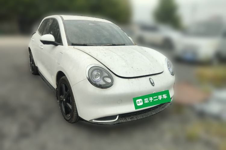 Used ORA Good Cat 2024 401 km Luxury Version Exterior 2