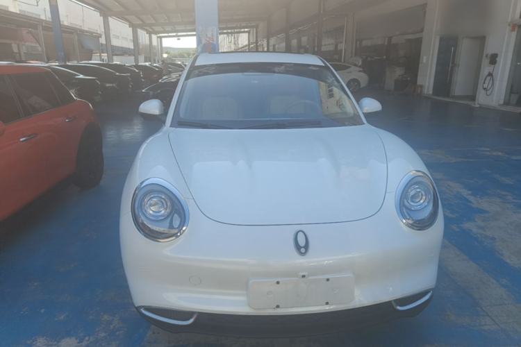Used ORA Good Cat 2024 401 km Luxury Version Front