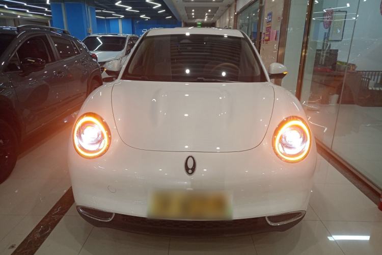 Used ORA Good Cat 2024 401 km Luxury Version Front