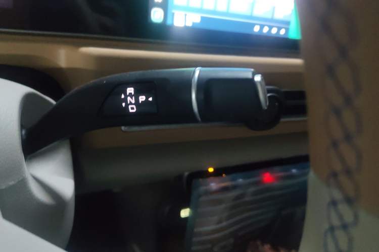 Used ORA Good Cat 2024 401 km Luxury Version Gear Lever