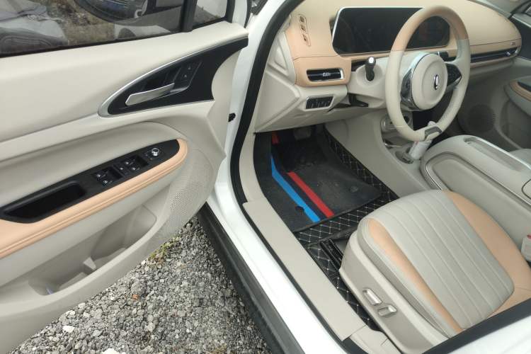 Used ORA Good Cat 2024 401 km Luxury Version Interior 3