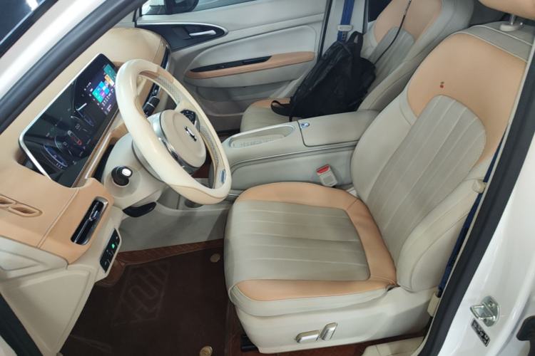 Used ORA Good Cat 2024 401 km Range Luxury Version 135 kW Left Front Seat