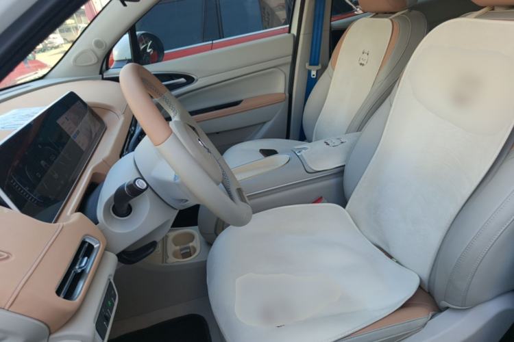 Used ORA Good Cat 2024 401 km Luxury Version Left Front Seat