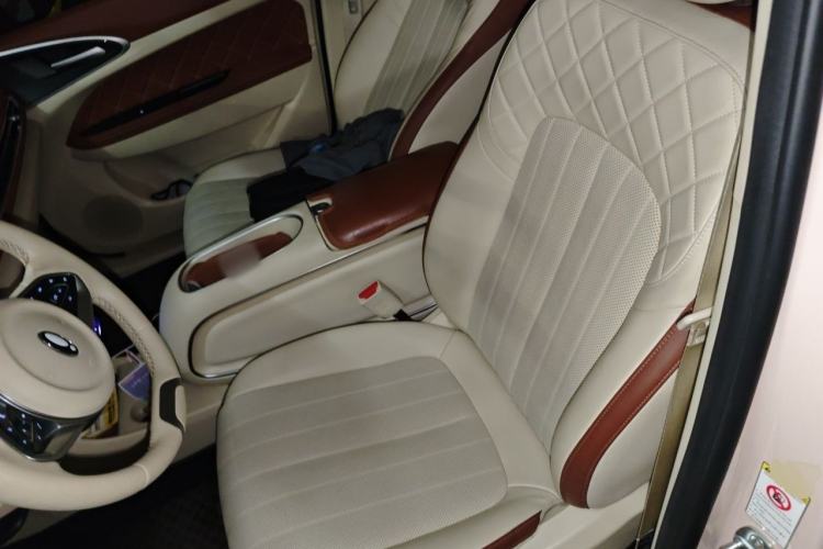 Used ORA Good Cat 2024 401 km Range Luxury Version 135 kW Left Front Seat