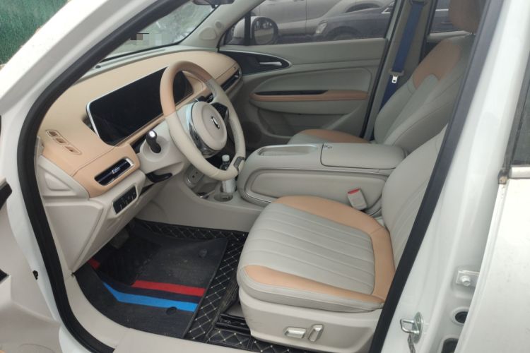 Used ORA Good Cat 2024 401 km Luxury Version Left Front Seat