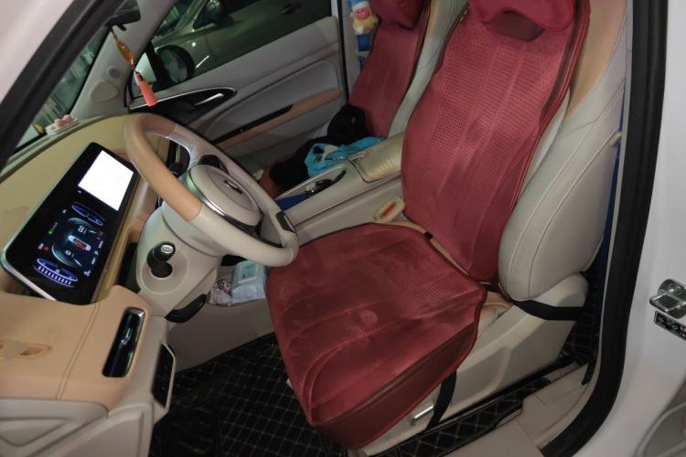 Used ORA Good Cat 2024 401 km Luxury Version Left Front Seat