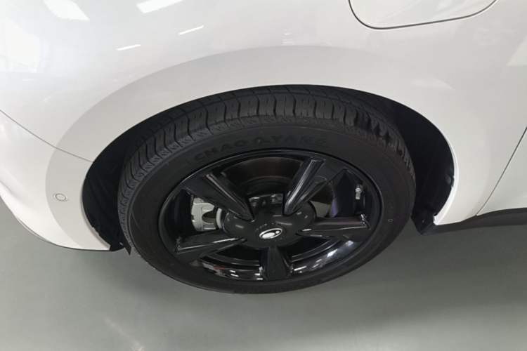 Used ORA Good Cat 2024 401 km Range Luxury Version 135 kW Left Front Wheel Hub