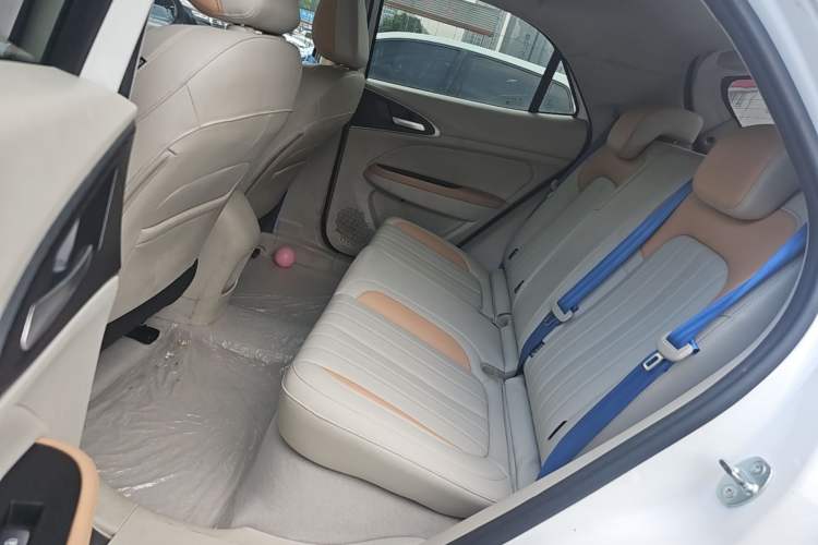 Used ORA Good Cat 2024 401 km Luxury Version Left Rear Seat