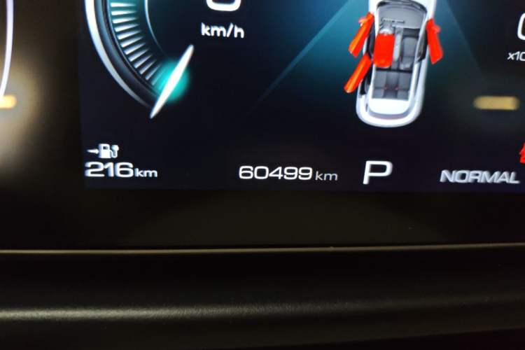 Used ORA Good Cat 2024 401 km Range Luxury Version 135 kW Odometer Close Up