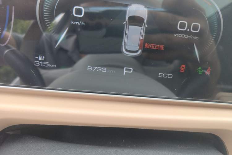 Used ORA Good Cat 2024 401 km Luxury Version Odometer Close Up