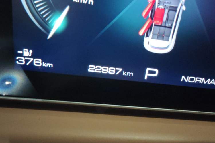 Used ORA Good Cat 2024 401 km Luxury Version Odometer Close Up