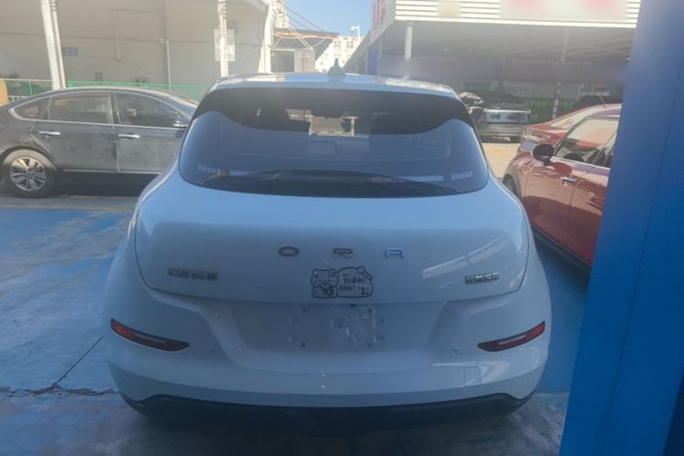 Used ORA Good Cat 2024 401 km Luxury Version Rear