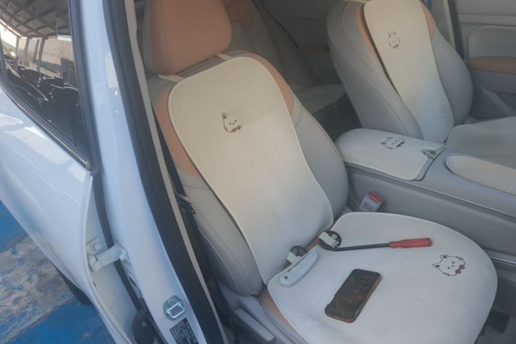 Used ORA Good Cat 2024 401 km Luxury Version Right Front Seat