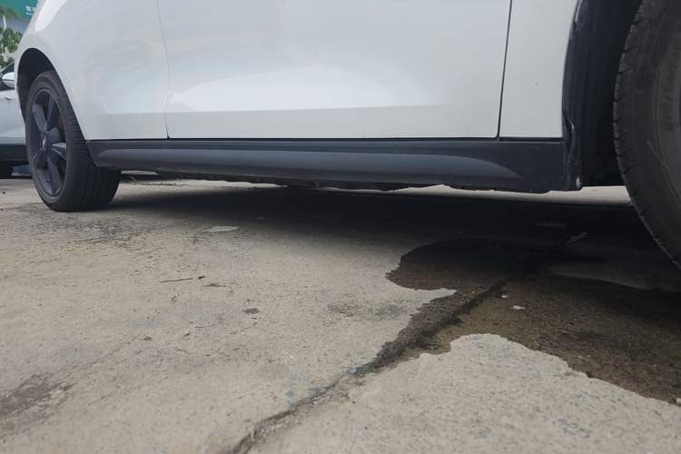 Used ORA Good Cat 2024 401 km Luxury Version Right Side Sill