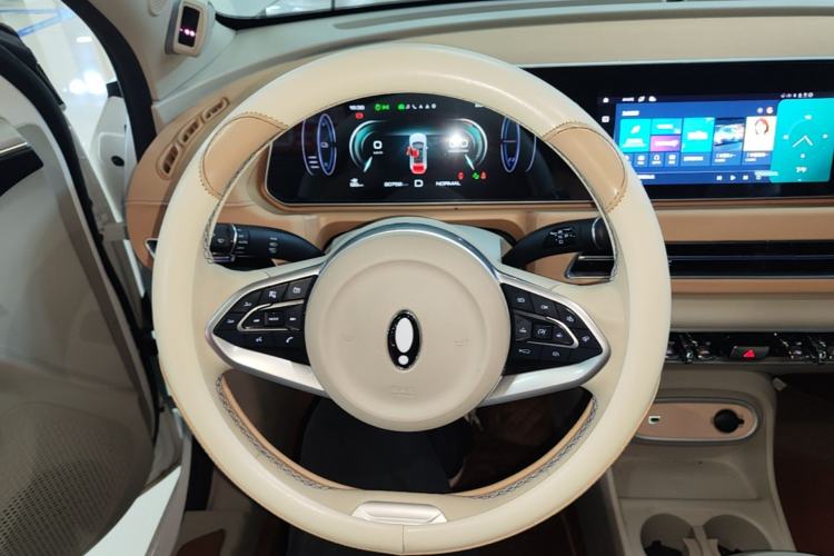 Used ORA Good Cat 2024 401 km Range Luxury Version 135 kW Steering Wheel