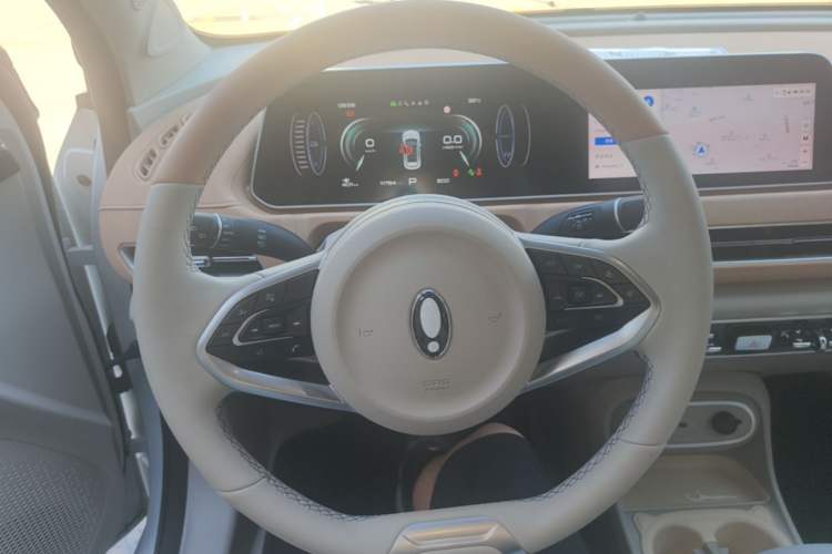 Used ORA Good Cat 2024 401 km Luxury Version Steering Wheel