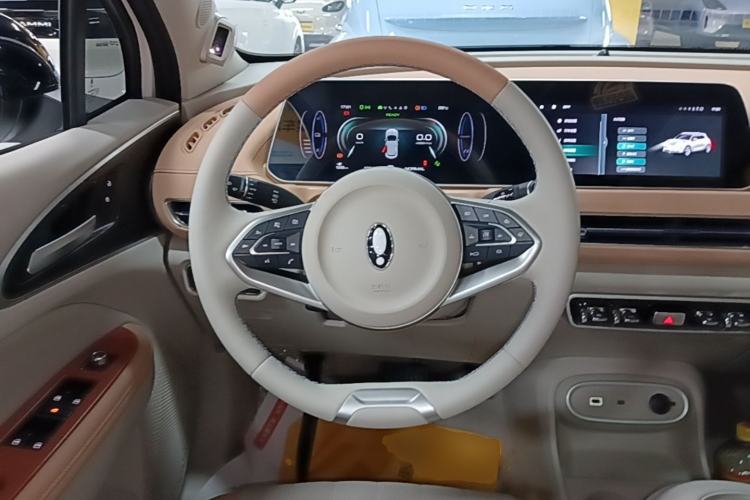 Used ORA Good Cat 2024 401 km Luxury Version 126 kW Steering Wheel