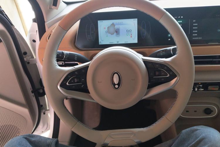 Used ORA Good Cat 2024 401 km Range Luxury Version 135 kW Steering Wheel