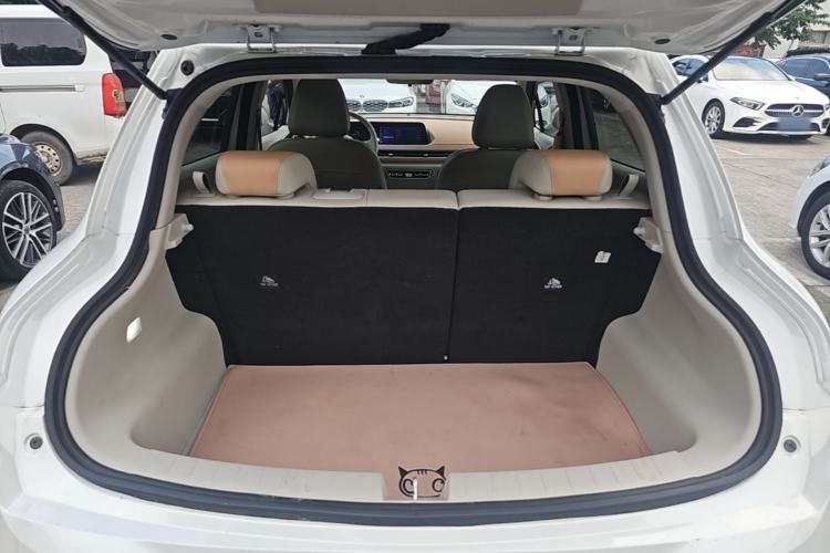 Used ORA Good Cat 2024 401 km Luxury Version Trunk