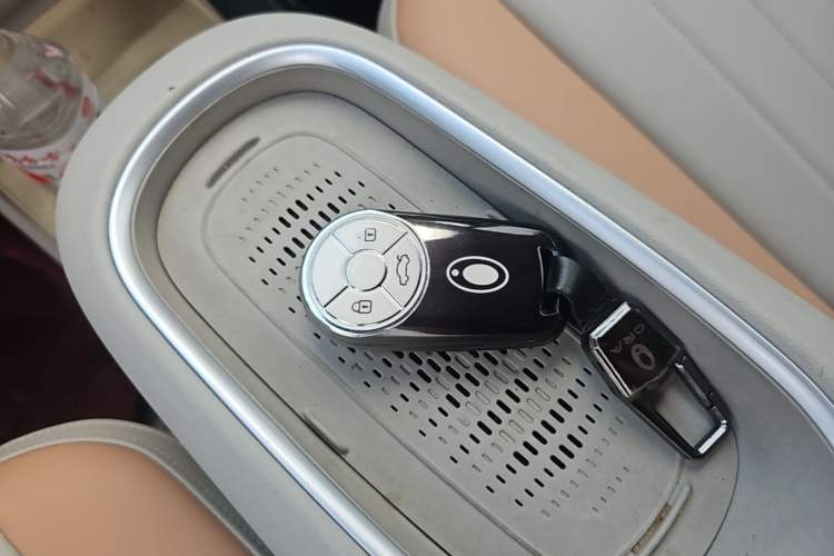 Used ORA Good Cat 2024 401 km Luxury Version Vehicle Key