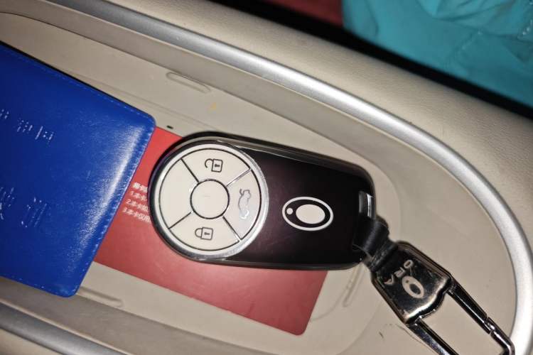 Used ORA Good Cat 2024 401 km Luxury Version Vehicle Key