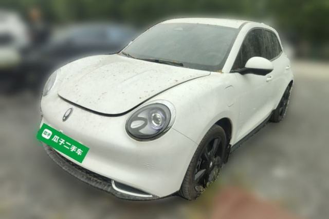 Used ORA Good Cat 2024 401 km Luxury Version