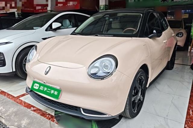 Used ORA Good Cat 2024 401 km Luxury Version