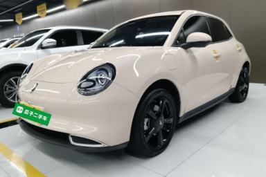 Used ORA Good Cat 2024 401 km Luxury Version
