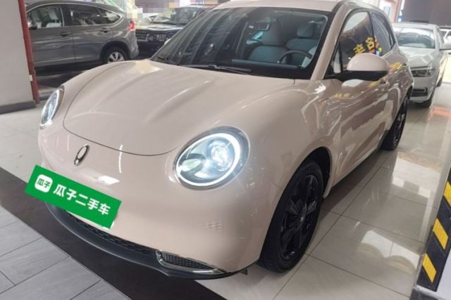 Used ORA Good Cat 2024 401 km Luxury Version
