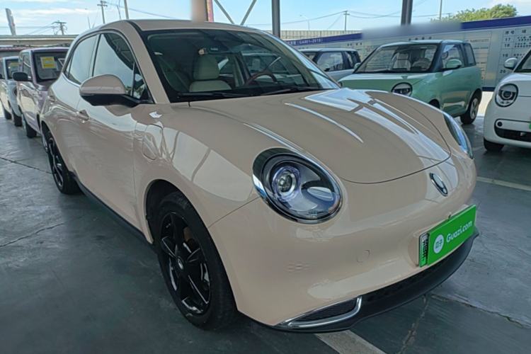 Used ORA Good Cat 2024 401 km Luxury Version Exterior 1
