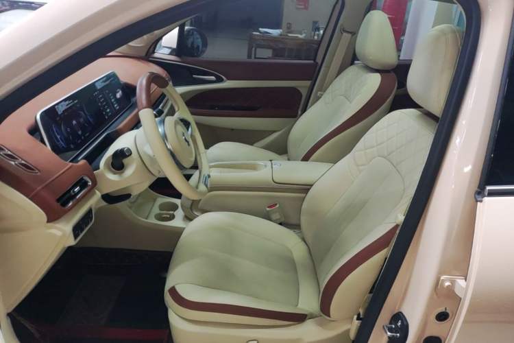 Used ORA Good Cat 2024 401 km Range Luxury Version 135 kW Left Front Seat