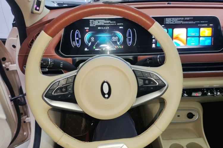 Used ORA Good Cat 2024 401 km Range Luxury Version 135 kW Steering Wheel