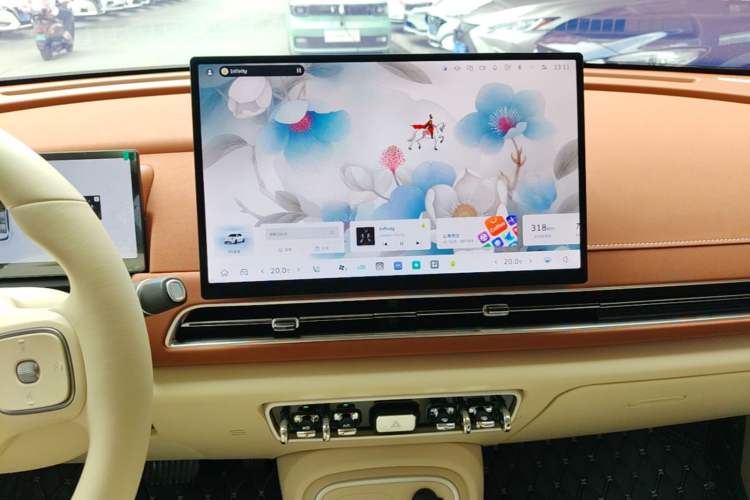 Used ORA Good Cat 2025 Model, 430 km Luxury Version Audio And AC Panel
