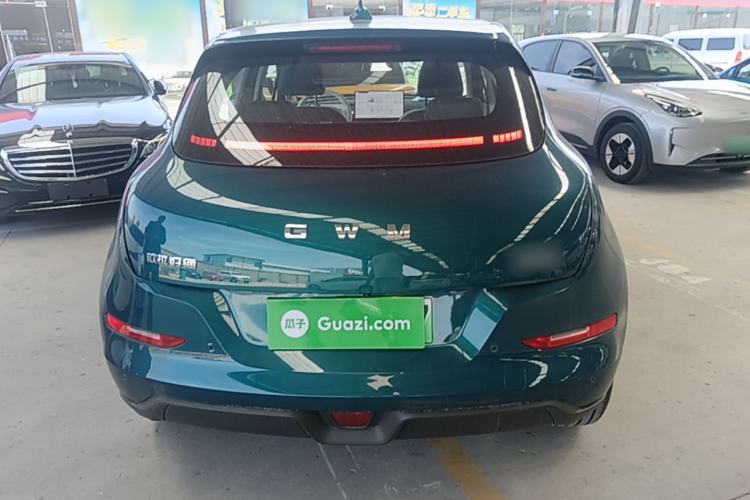 Used ORA Good Cat 2025 Model, 430 km Luxury Version Rear